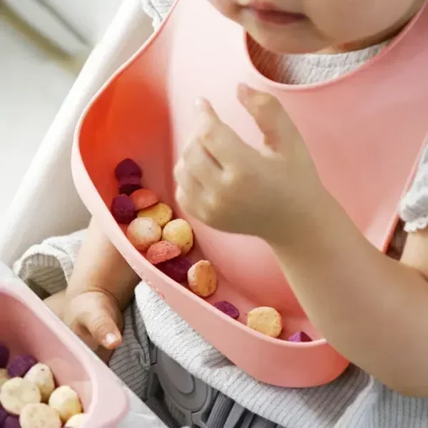 Silikon Food Grade, Set piring - Plate Suction Toddler ulasan dan harga